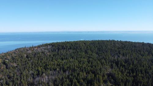 Photo aérienne - Ch. St-Paul, La Malbaie, QC 