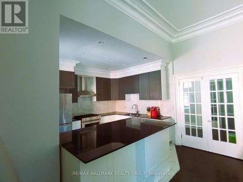 460 Wilbrod Street, Ottawa, ON - Indoor Photo Showing Kitchen With Upgraded Kitchen