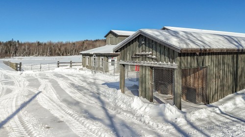 Écurie - 73Z Route 255, Kingsey Falls, QC - Outdoor