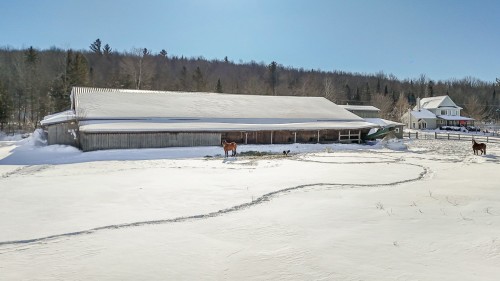 Écurie - 73Z Route 255, Kingsey Falls, QC - Outdoor With View