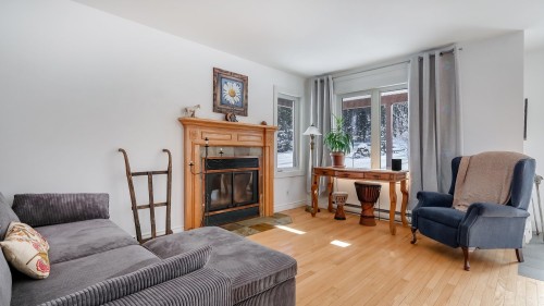 Salon - 73Z Route 255, Kingsey Falls, QC - Indoor Photo Showing Living Room With Fireplace