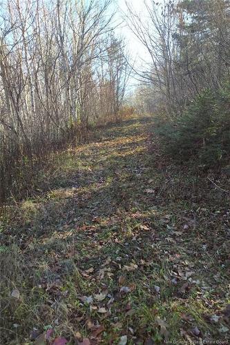 449 Harriet O'Ree Rd, Sussex, NB 