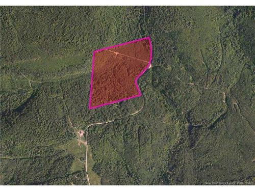 449 Harriet O'Ree Rd, Sussex, NB 