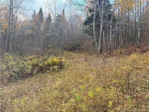 449 Harriet O'Ree Rd, Sussex, NB 