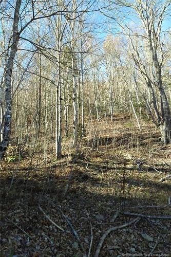 449 Harriet O'Ree Rd, Sussex, NB 