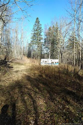 449 Harriet O'Ree Rd, Sussex, NB 