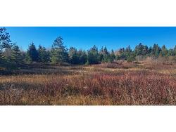 1.3 acres Route 113  Miscou, NB E8T 1C7