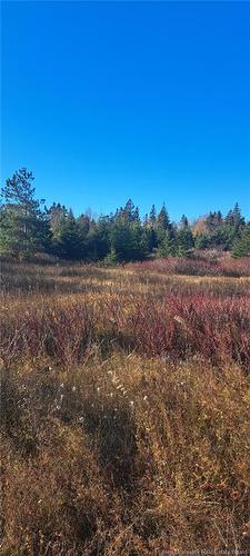 1.3 Acres Route 113, Miscou, NB 