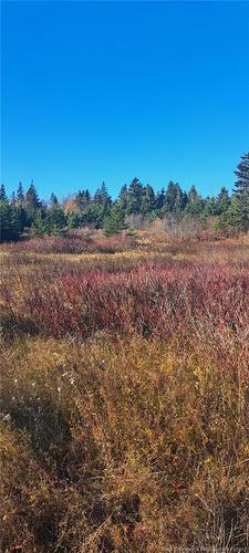 1.3 Acres Route 113, Miscou, NB 