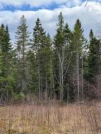 land Route 515  Saint-Paul, NB E4T 3T5