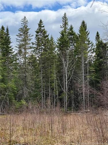 Land Route 515, Saint-Paul, NB 