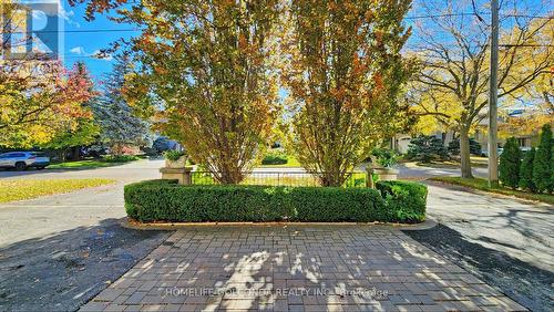 164 Owen Boulevard, Toronto, ON - Outdoor With View