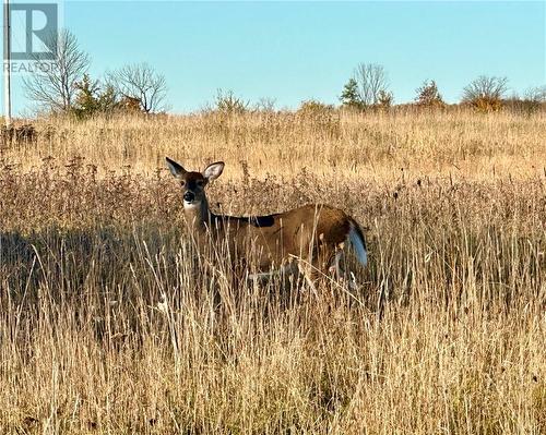 36 Fraser Street, Gore Bay, Manitoulin Island, ON - Outdoor With View