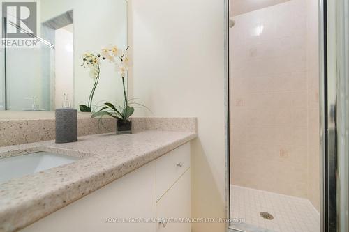 21 - 1010 Cristina Court, Mississauga, ON - Indoor Photo Showing Bathroom