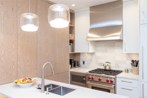 203-1201 Fort St, Victoria, BC - Indoor Photo Showing Kitchen With Double Sink With Upgraded Kitchen