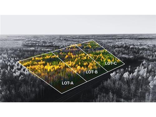 Lot A Route 126, Collette, NB 