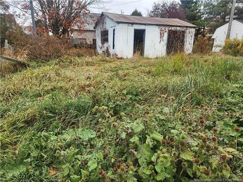 32 Rue Pelletier, Saint-Quentin, NB 