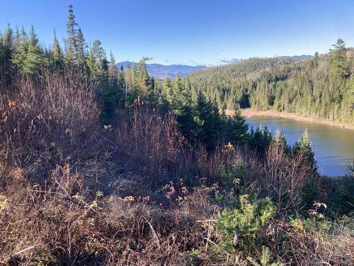 Vue - Lac Du Sabre, Clermont, QC - Outdoor With View