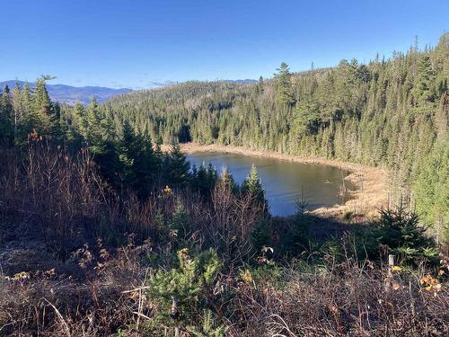 Vue - Lac Du Sabre, Clermont, QC - Outdoor With View