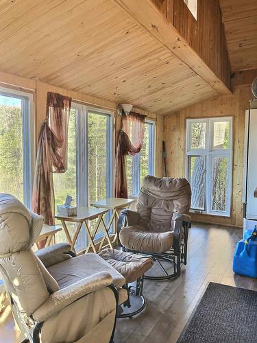 Salon - Lac Du Sabre, Clermont, QC - Indoor Photo Showing Living Room