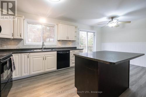 113 Barcovan Beach Road, Quinte West (Murray Ward), ON - Indoor Photo Showing Kitchen With Double Sink