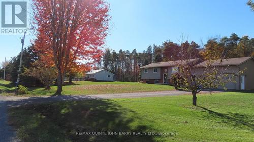 113 Barcovan Beach Road, Quinte West (Murray Ward), ON - Outdoor