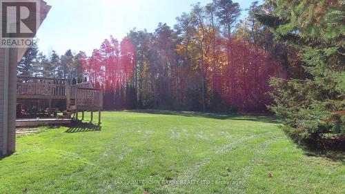 113 Barcovan Beach Road, Quinte West (Murray Ward), ON - Outdoor