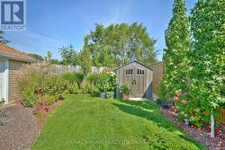 Backyard + Shed - 