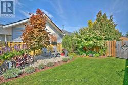 Side Yard - 
