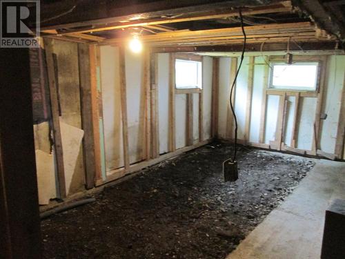 161 Main Street, Point Leamington, NL - Indoor Photo Showing Basement