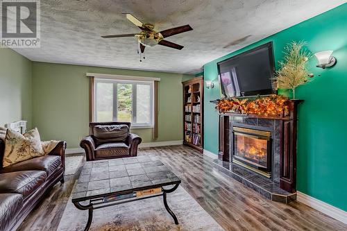 16-22 Bacon Cove Road, Conception Harbour, NL - Indoor Photo Showing Living Room With Fireplace