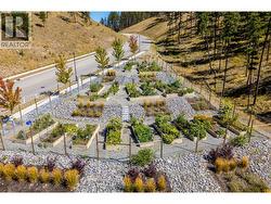 Community garden - 