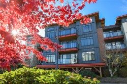 146-2300 Mansfield Dr  Courtenay, BC V9N 3S3