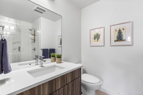 201-317 Burnside Rd East, Victoria, BC - Indoor Photo Showing Bathroom