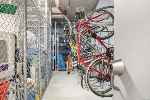 201-317 Burnside Rd East, Victoria, BC - Indoor With Storage