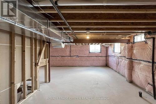 87 Lawrence D. Pridham Avenue, New Tecumseth, ON - Indoor Photo Showing Basement