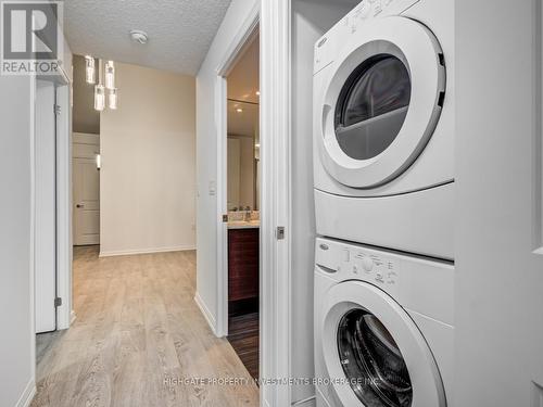 216 - 125 Western Battery Road, Toronto, ON - Indoor Photo Showing Laundry Room