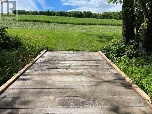 2332 Centre Line, Clearview, ON - Outdoor With View