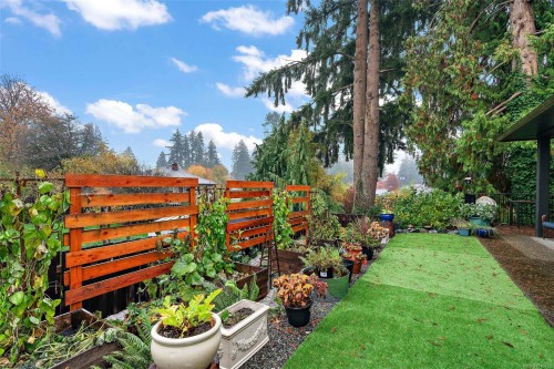 5869 Deuchars Dr, Duncan, BC - Outdoor