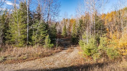 Terre/Terrain - Ch. De Ste-Lucie, Sainte-Agathe-Des-Monts, QC 