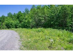 21-26 Misty Mountain LANE  Johnson Settlement, NB E5A 3B6