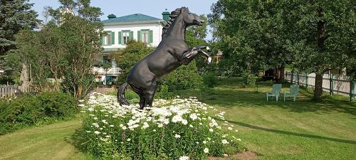 Extérieur - 21 Route Du Mitan, Saint-Jean-De-L'Île-D'Orléans, QC - Outdoor