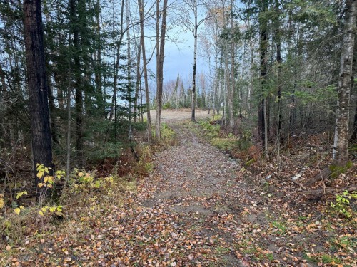 Terre/Terrain - 1165 Ch. De Grassy Narrow, Moffet, QC 
