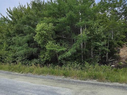 70 Three Brooks Drive, Hubley, NS 