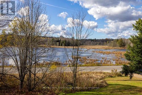 4 season Pond views - 336 Clear Lake Road, Seguin, ON - Outdoor With View