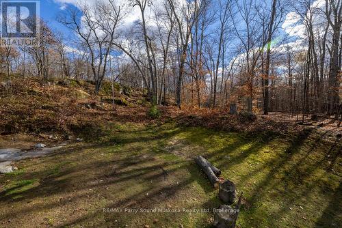 5.55 Acres of privacy - 336 Clear Lake Road, Seguin, ON - Outdoor With View