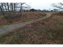 320 Upper Mills Road  Upper Mills, NB E3L 5W5