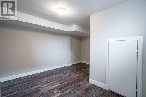Lower - 4 Starlight Court, Hamilton, ON - Indoor Photo Showing Other Room