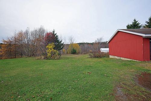 Backyard - 267 Boul. Bégin, Saint-Pacôme, QC - Outdoor