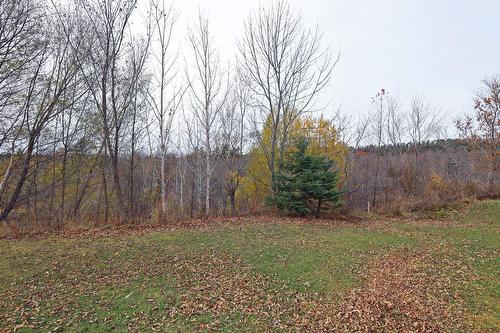 Backyard - 267 Boul. Bégin, Saint-Pacôme, QC - Outdoor With View